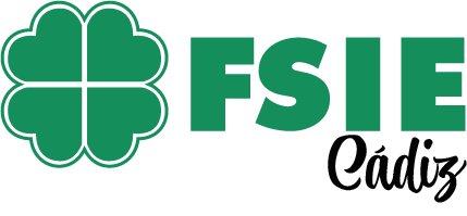 Logo FSIE
